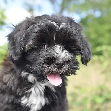 Talgut Lodge Ofterschwang