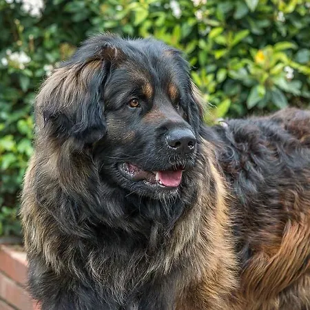 Talgut * Ofterschwang