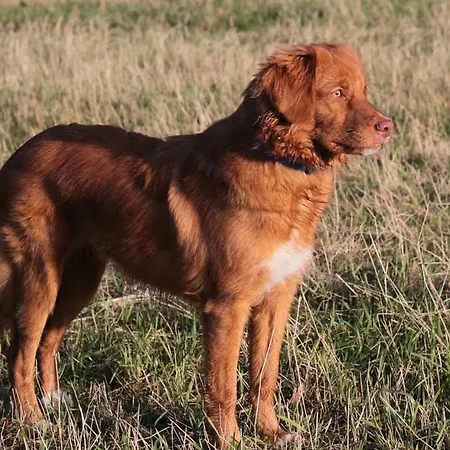 Talgut * Ofterschwang